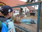Výlet do ZOO Chleby a Labyrintária Loučeň